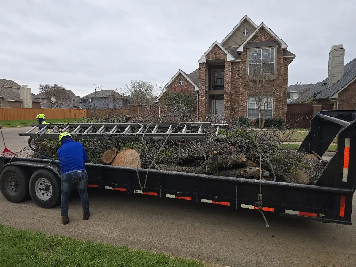 Expert Lot Clearing with proper safety equipment in Radiant
